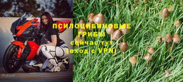 стафф Нижневартовск