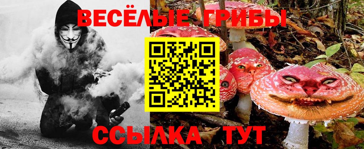 Галлюциногенные грибы мицелий  Вход с VPN  Тула 